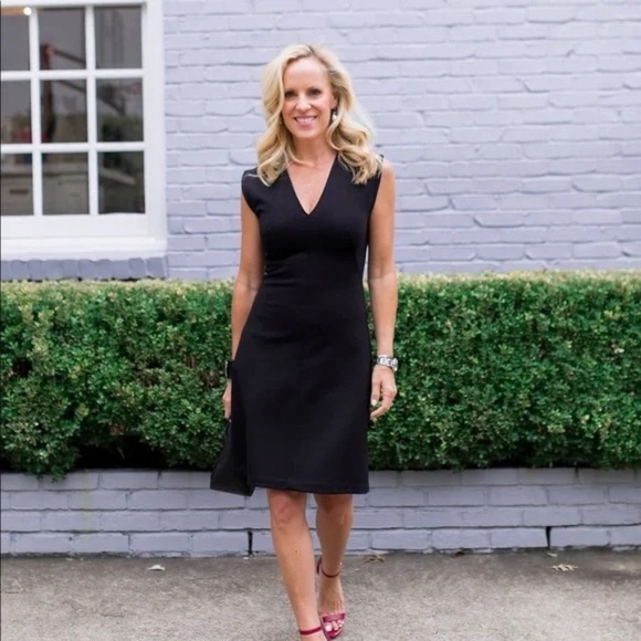 Everlane Sleeveless V-Neck Fittec Dress Black 2 EUC LBD - Picture 5 of 12